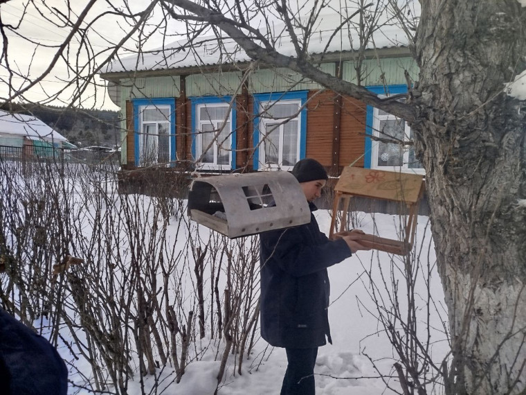 ВСЕРОССИЙСКАЯ АКЦИЯ "ПОКОРМИТЕ ПТИЦ ЗИМОЙ!".